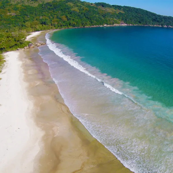 aigcvb-lopes-mendes